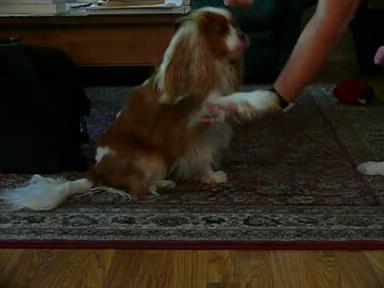 Spas performing several tricks